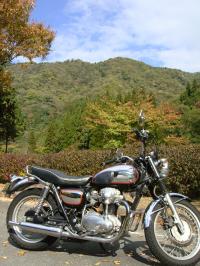 DSC01593_convert_20121101184124 200.266