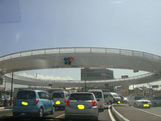 DSC01390.jpg