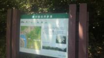 P1010645_convert_20120702145555.jpg