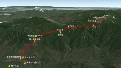 金峰w1