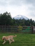 富士山曇り2