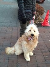 病院B