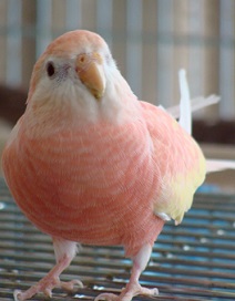 130404saku1.jpg