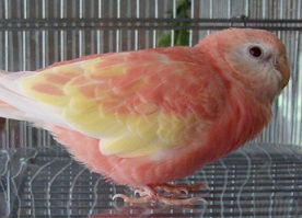 130504saku.jpg