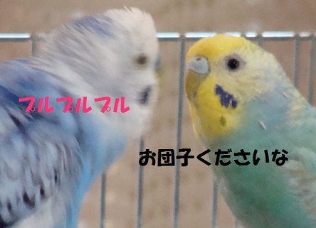 130513.jpg