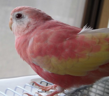 130527saku.jpg