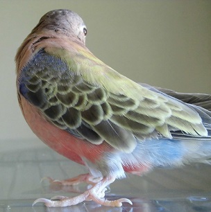 130531tubi1.jpg