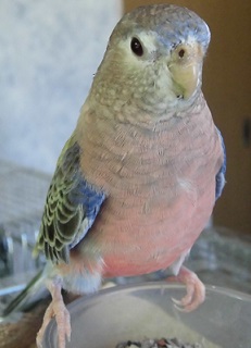 130531tubi2.jpg