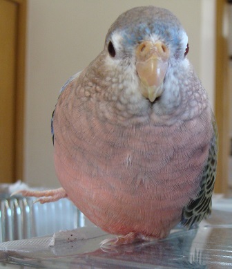 まるん
