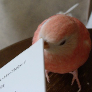 ふーん