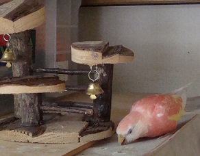 リったんは