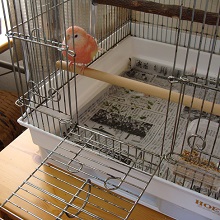みずが、ないです