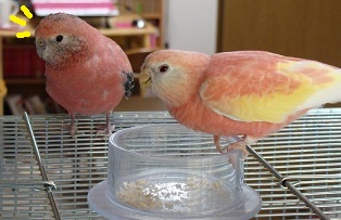 その2