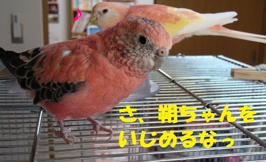 その4