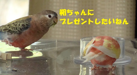 がんばれツビくん