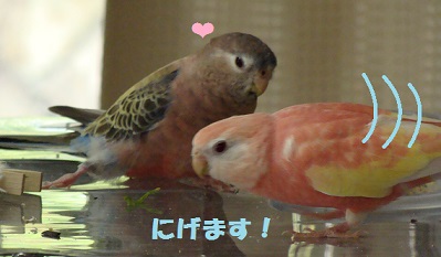 めげないで