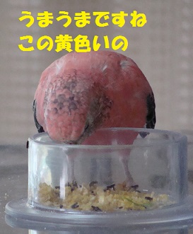 余裕