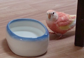 様子見
