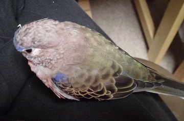 うとうと。。。