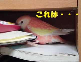 ごちゃごちゃ