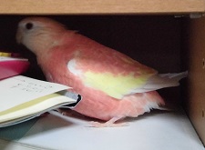もぞもぞ
