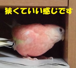 嬉しいです