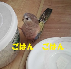 これをやってると