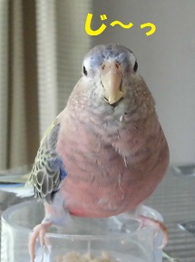 上方を狙い
