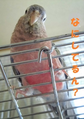 変な顔される