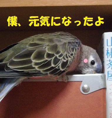 お気に入りの箱