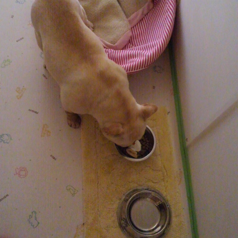 2012112110110000.jpg