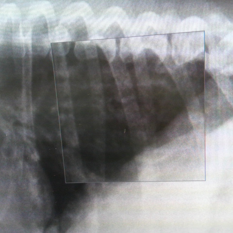 2012112612410000.jpg