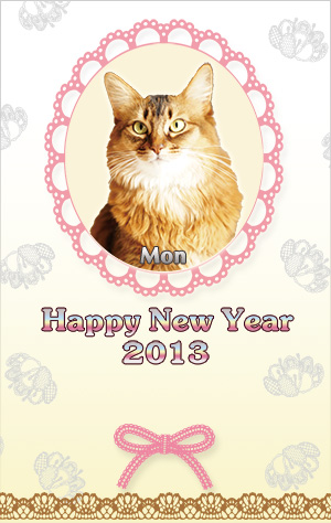 猫の謹賀新年