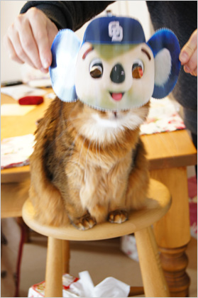 ドアラになった猫のモンさん
