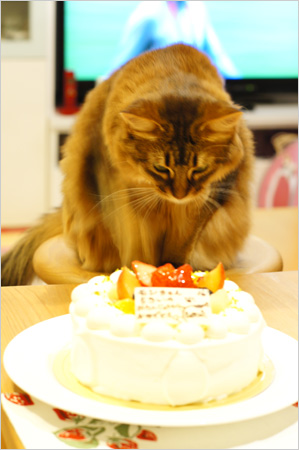 ラ・テールセゾンのお誕生日ケーキを前に