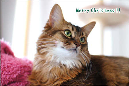 メリークリスマス
