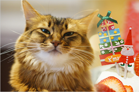 メリークリスマス