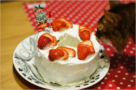 今年のクリスマスケーキ
