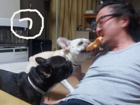 121030 つ