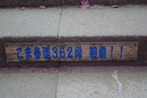 02ooyama4komasandoseiha.jpg