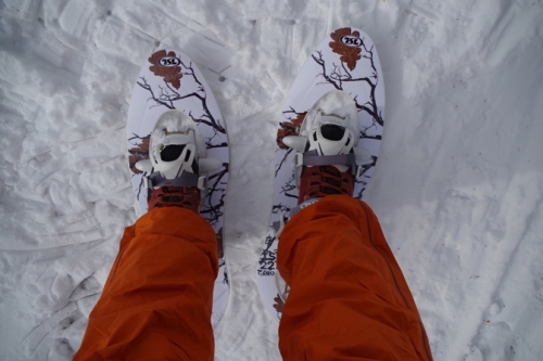 03okunikkohatsusnowshoe.jpg