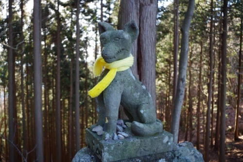 08narukamikomainu1.jpg