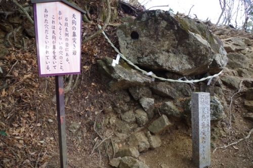 13ooyama4tenguhanatukiiwa.jpg