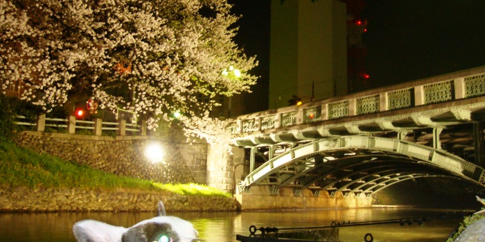 130409b1.jpg