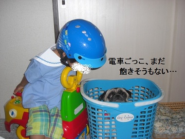 20120619d.jpg