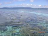穏やかな凪ぎで海中のサンゴが見える～竹富島沖
