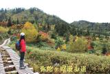 弥陀ヶ原遊歩道～１８０度紅葉です！