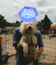 ゴジラとぶらん