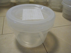 成虫管理用容器