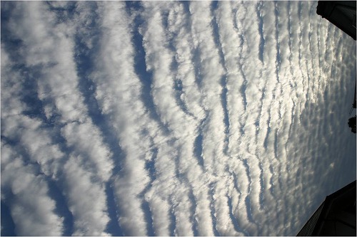 s-121104-5.jpg